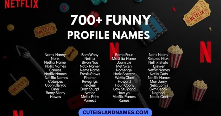Funny Netflix Profile Names