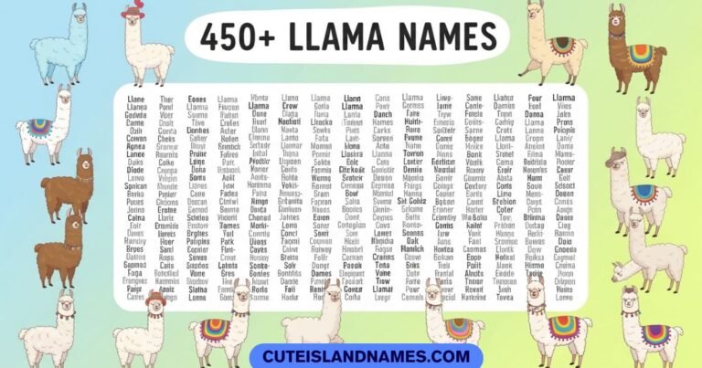 Llama Names