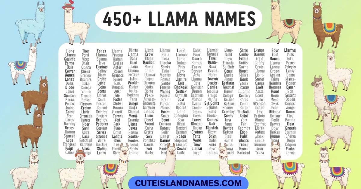 Llama Names